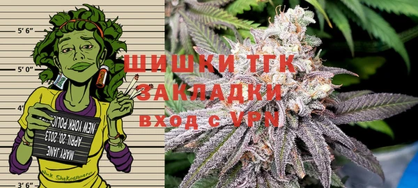 ECSTASY Новодвинск