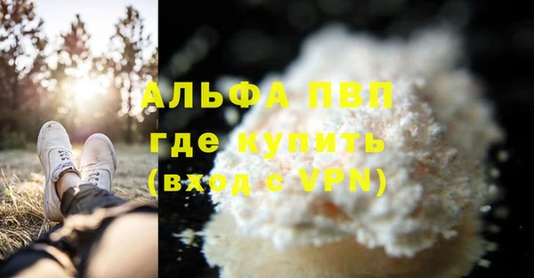 PSILOCYBIN Новозыбков