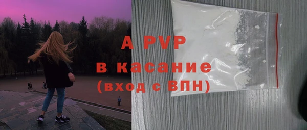 ECSTASY Новодвинск